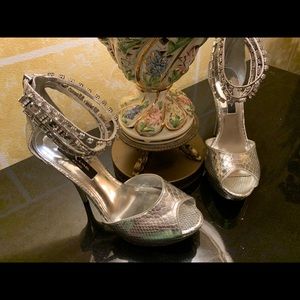 NWT Nina Silver Shoes